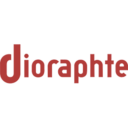 Stichting Dioraphte